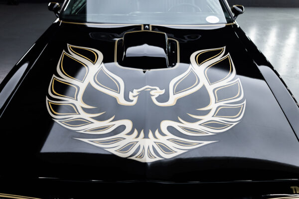 1980 Trans Am (Bandit) - Image 22