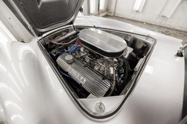 Shelby Cobra - Image 24