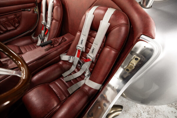 Shelby Cobra - Image 17