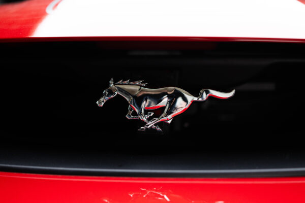 2003 Ford Mustang Mach 1 - Image 4