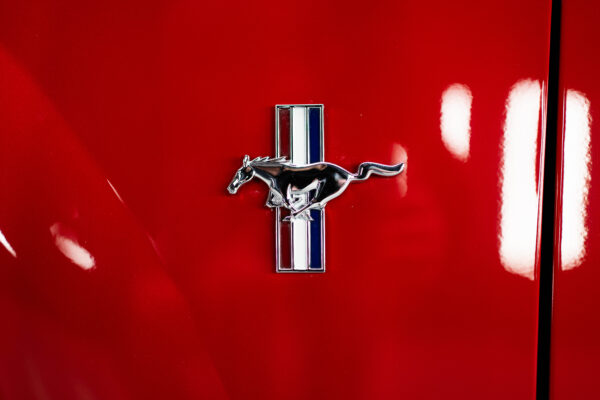 2003 Ford Mustang Mach 1 - Image 7