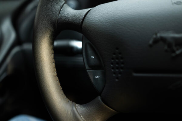 2003 Ford Mustang Mach 1 - Image 38