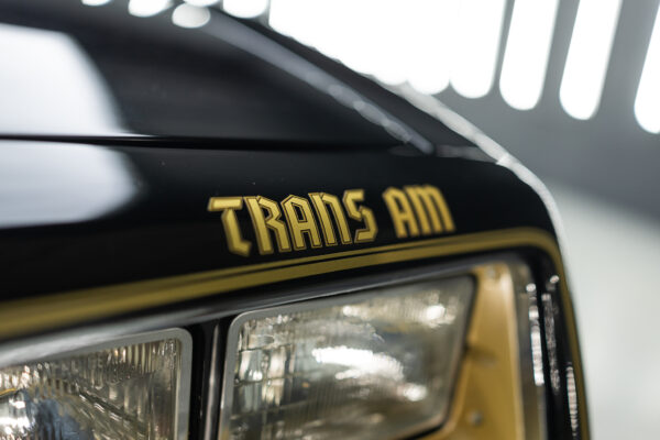 1977 Trans am Firebird - Image 6