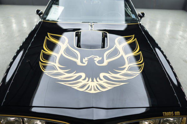 1977 Trans am Firebird - Image 8