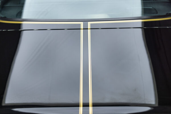 1977 Trans am Firebird - Image 20