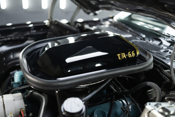 1977 Trans am Firebird - Image 26