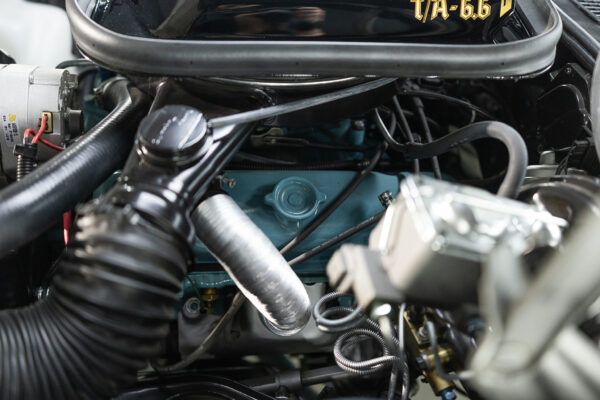 1977 Trans am Firebird - Image 27