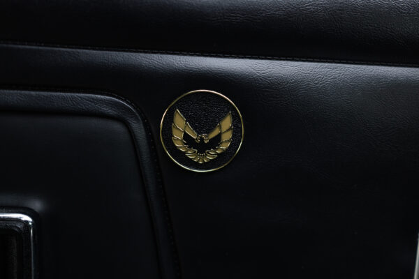 1977 Trans am Firebird - Image 38