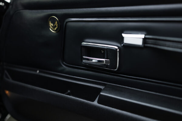 1977 Trans am Firebird - Image 45